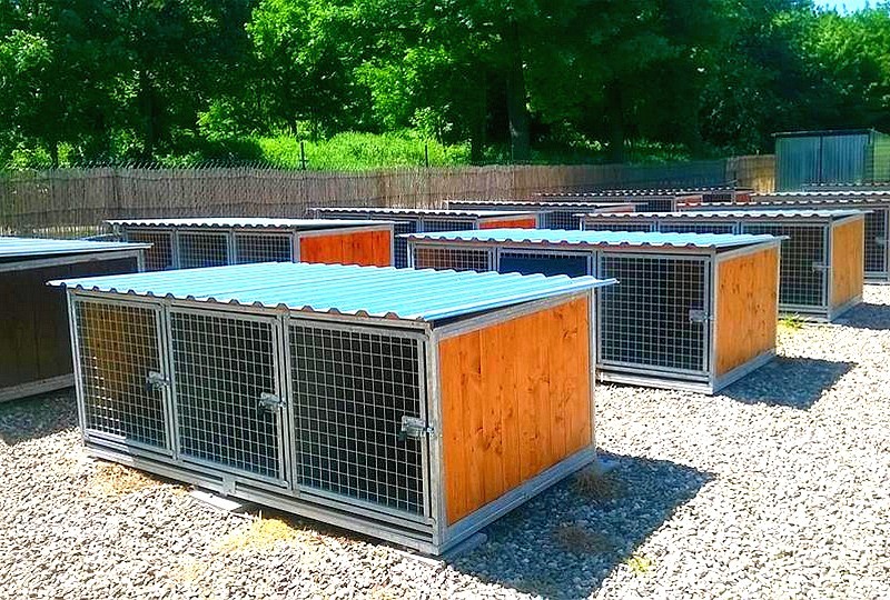 Odstavné boxy pro psy